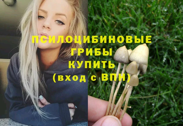 МДПВ Алексеевка