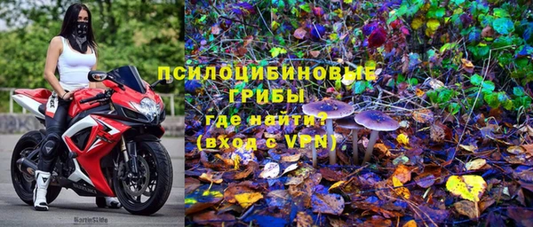 МДПВ Алексеевка